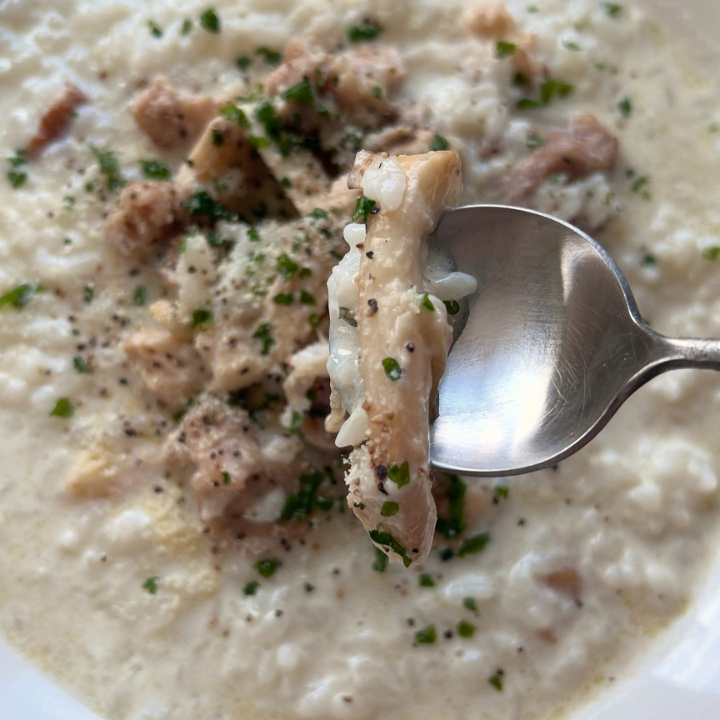 生鮮松茸【規格外品】北米産