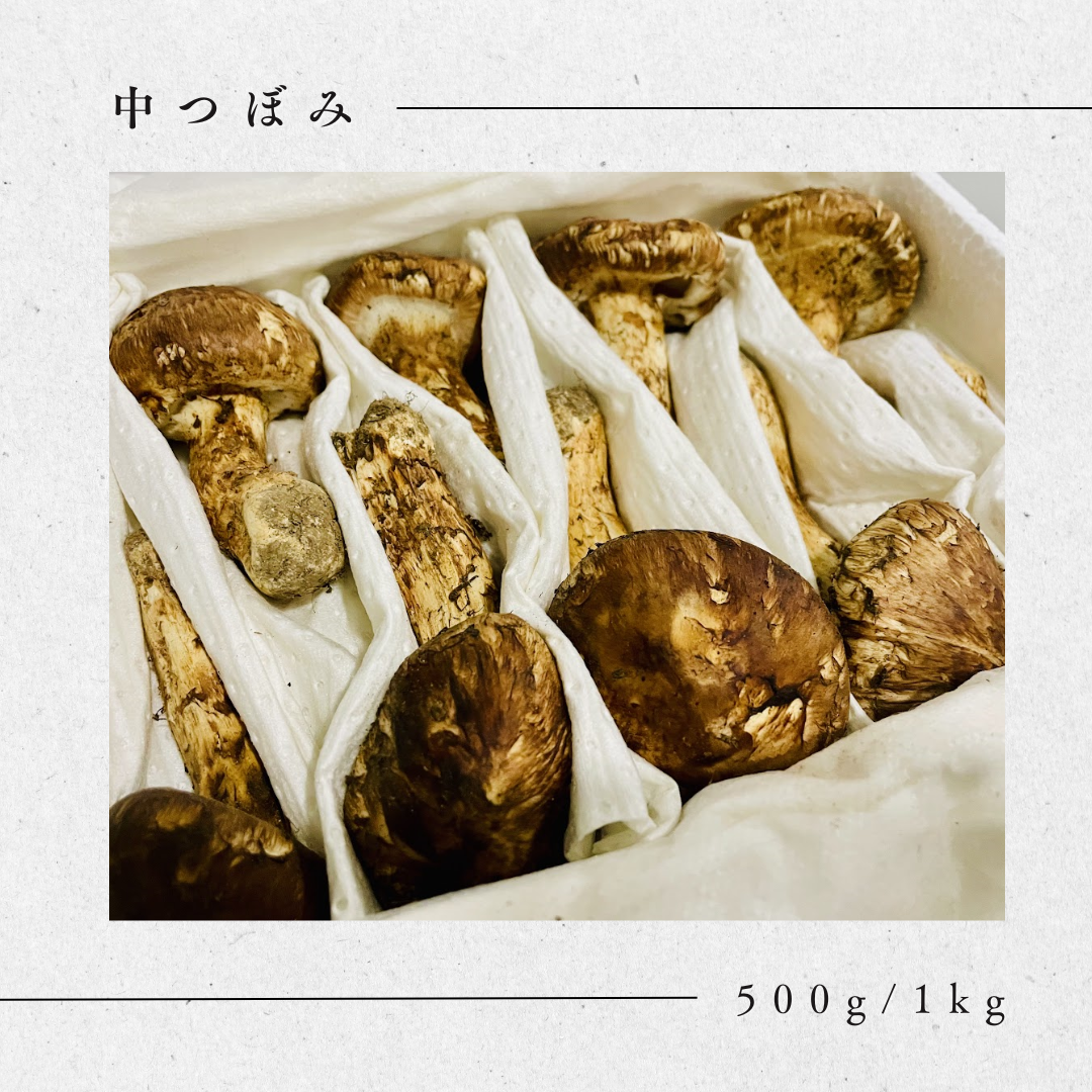 松茸 【中つぼみ】中国産 – 神戸から全国へ!生鮮食品のお取寄せ 松茸 【中つぼみ】中国産 – 神戸から全国へ!生鮮食品のお取寄せ