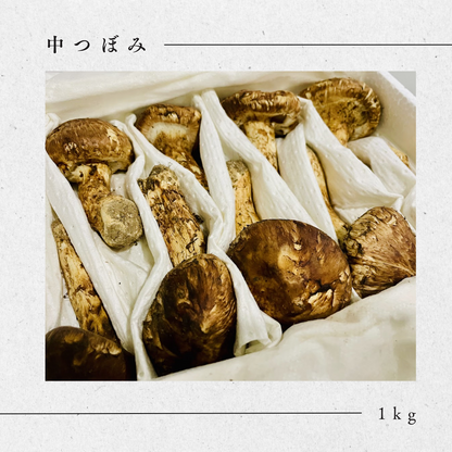 松茸 【中つぼみ】中国産 – 神戸から全国へ！生鮮食品のお取寄せ