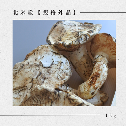 生鮮松茸【規格外品】北米産
