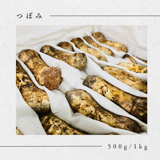 松茸 【つぼみ】中国産
