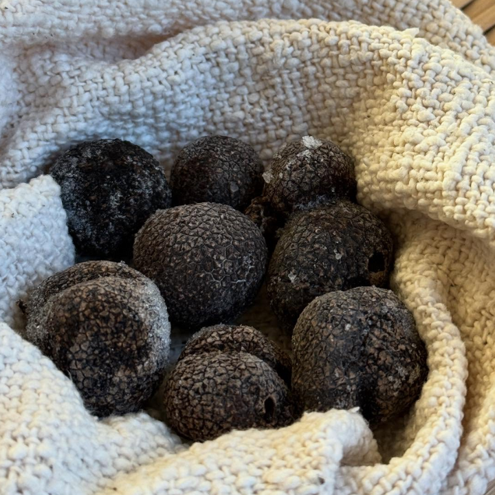 冷凍 黒トリュフ【訳あり】