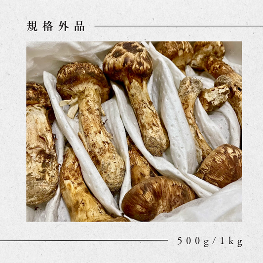 松茸【 規格外品】中国産