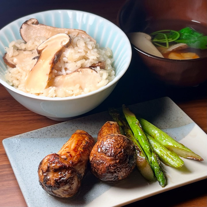 生鮮松茸 【つぼみ】中国産