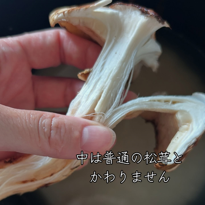 生鮮松茸【 規格外品】中国産