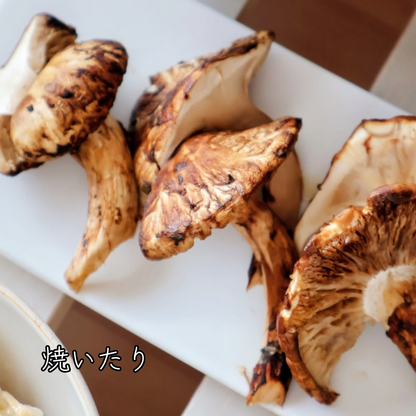 生鮮松茸【 規格外品】中国産
