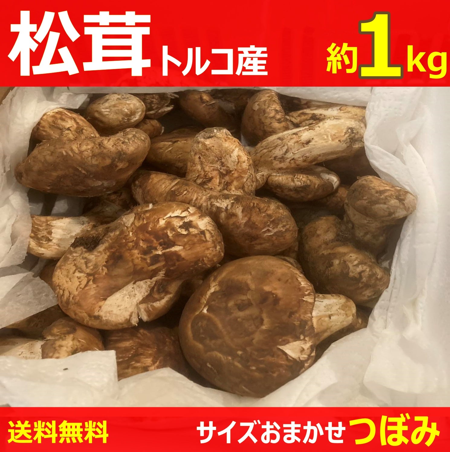 ドライブお得な箱売り約１kg‼️ 中国産 松茸 まつたけ 中つぼみ 野菜